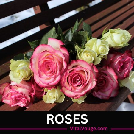 ROSES ROSES